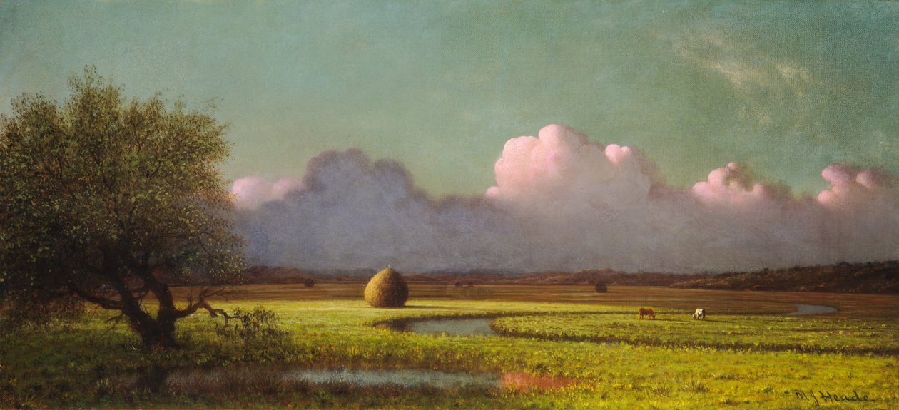 Napfény és árnyék: A Newbury-mocsarak alkotó: Martin Johnson Heade