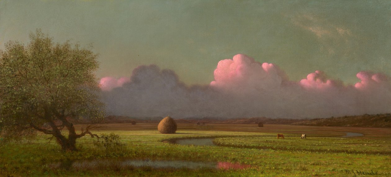 Napfény és árnyék: A Newbury-mocsár, 1871-1875 körül (olaj, vászon) alkotó: Martin Johnson Heade