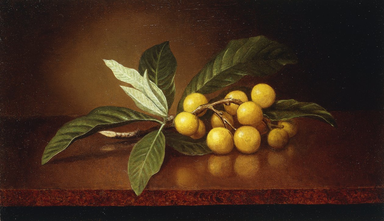 trópusi szilva, alkotó: Martin Johnson Heade