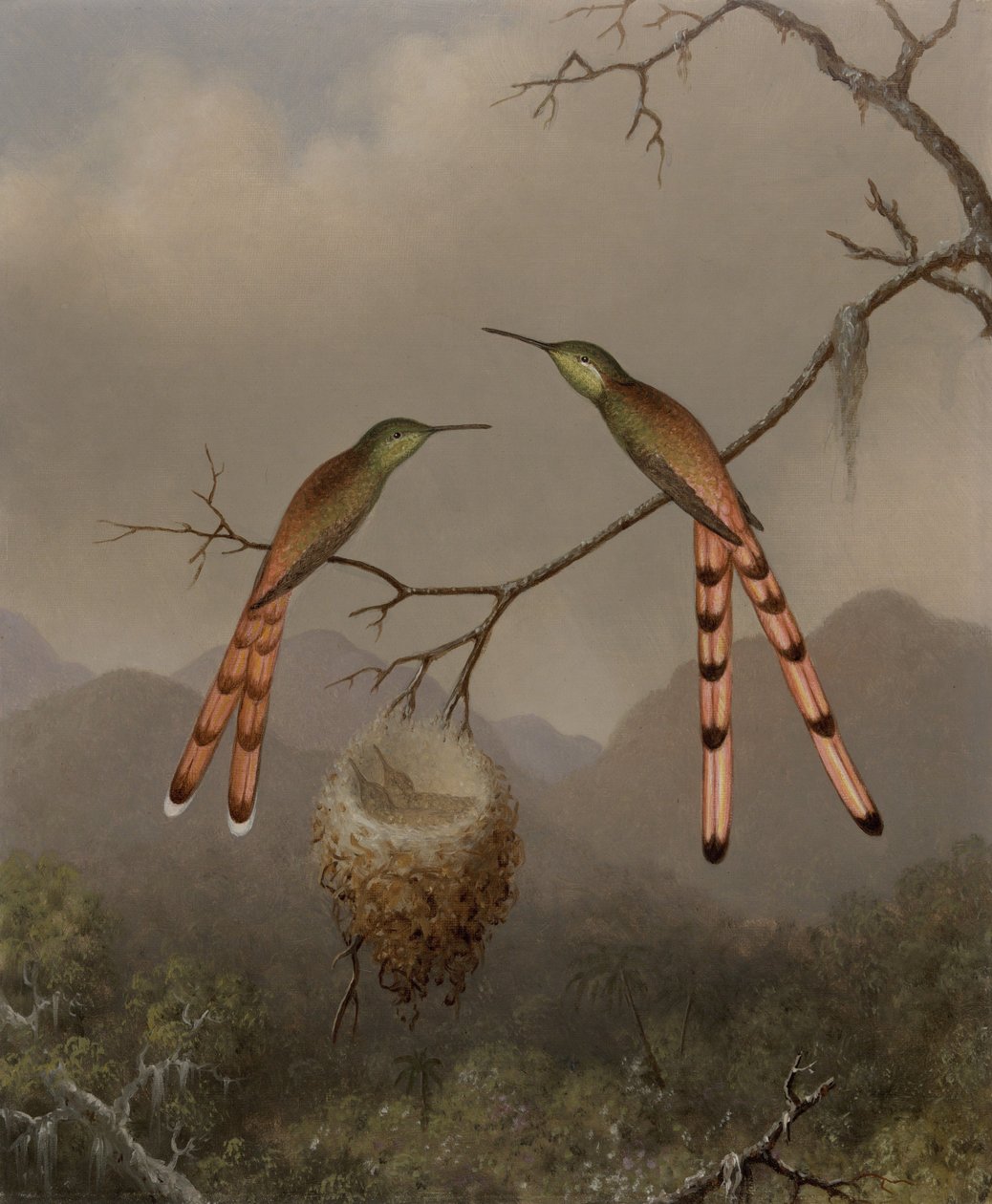 Két kolibri fiókáikkal alkotó: Martin Johnson Heade