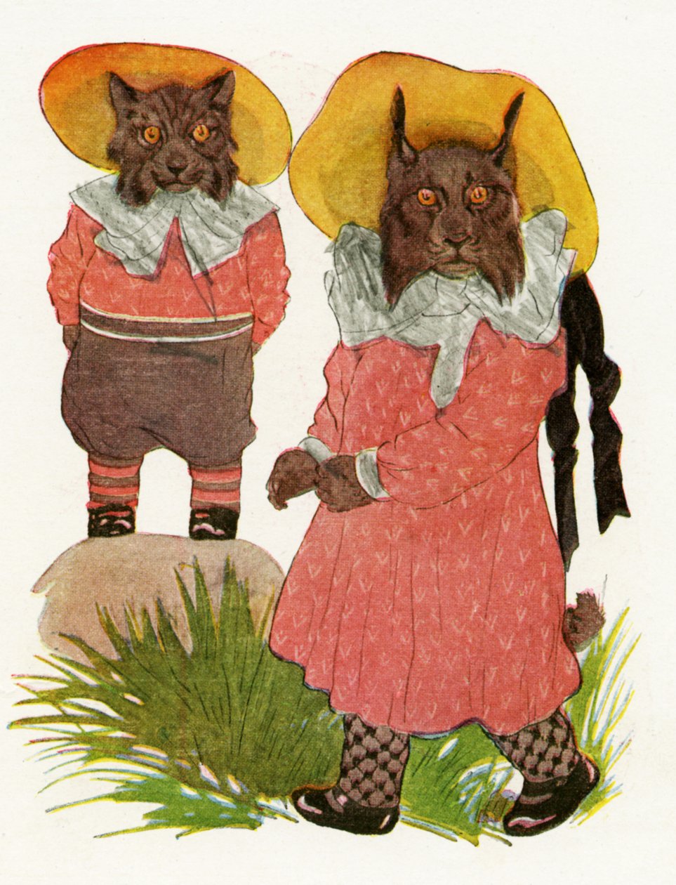 Bobcat és kanadai hiúz, 1913 alkotó: Martin Ross