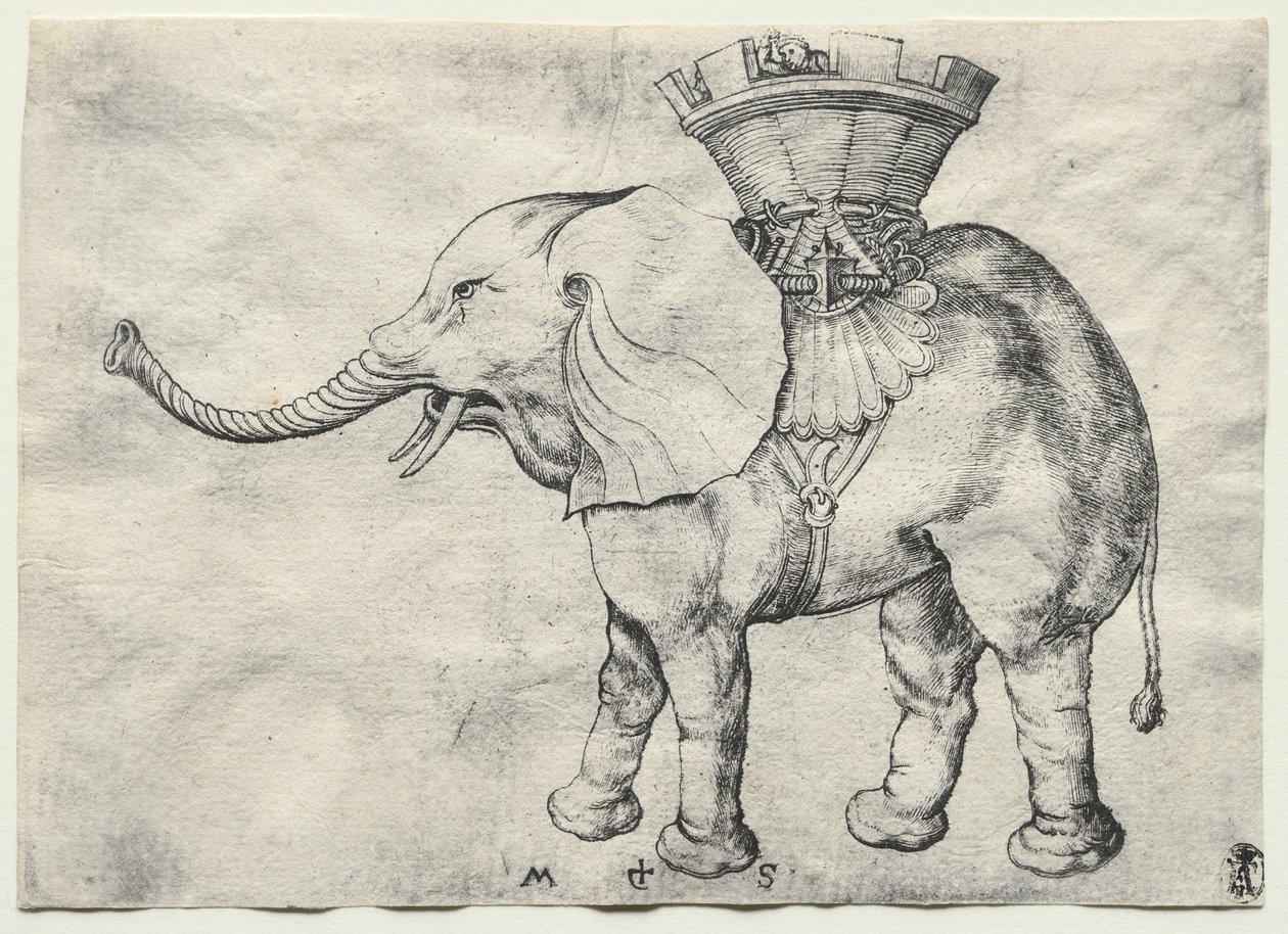 Egy elefánt Howdah-val alkotó: Martin Schongauer
