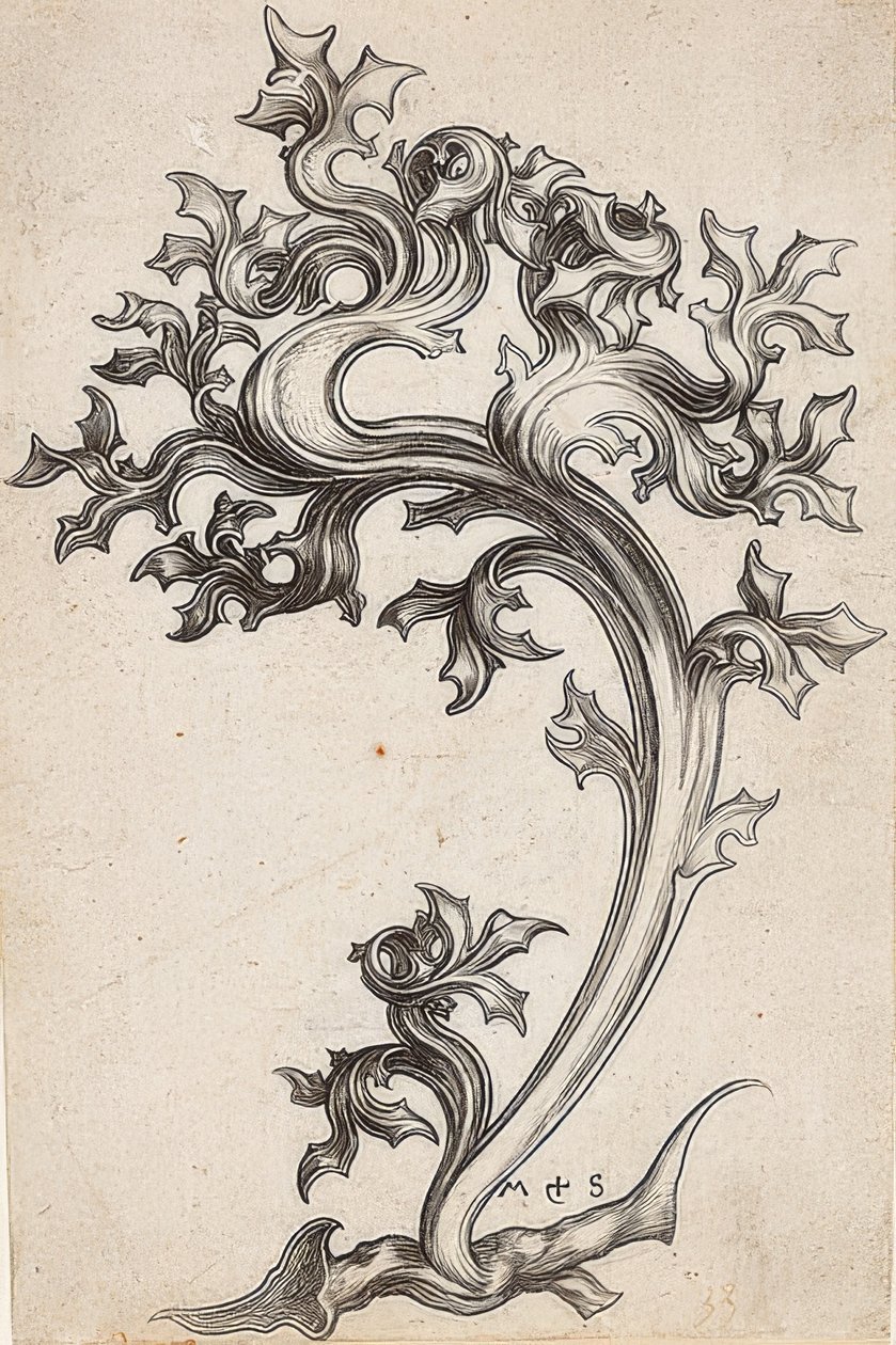 Bogáncsból készült levéldísz alkotó: Martin Schongauer