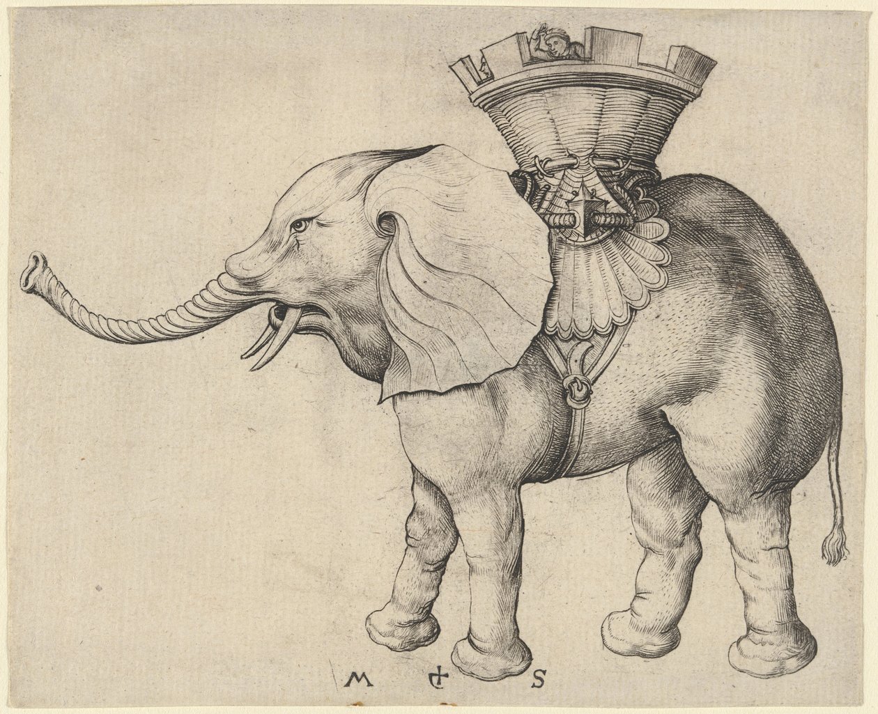 Elefánt alkotó: Martin Schongauer