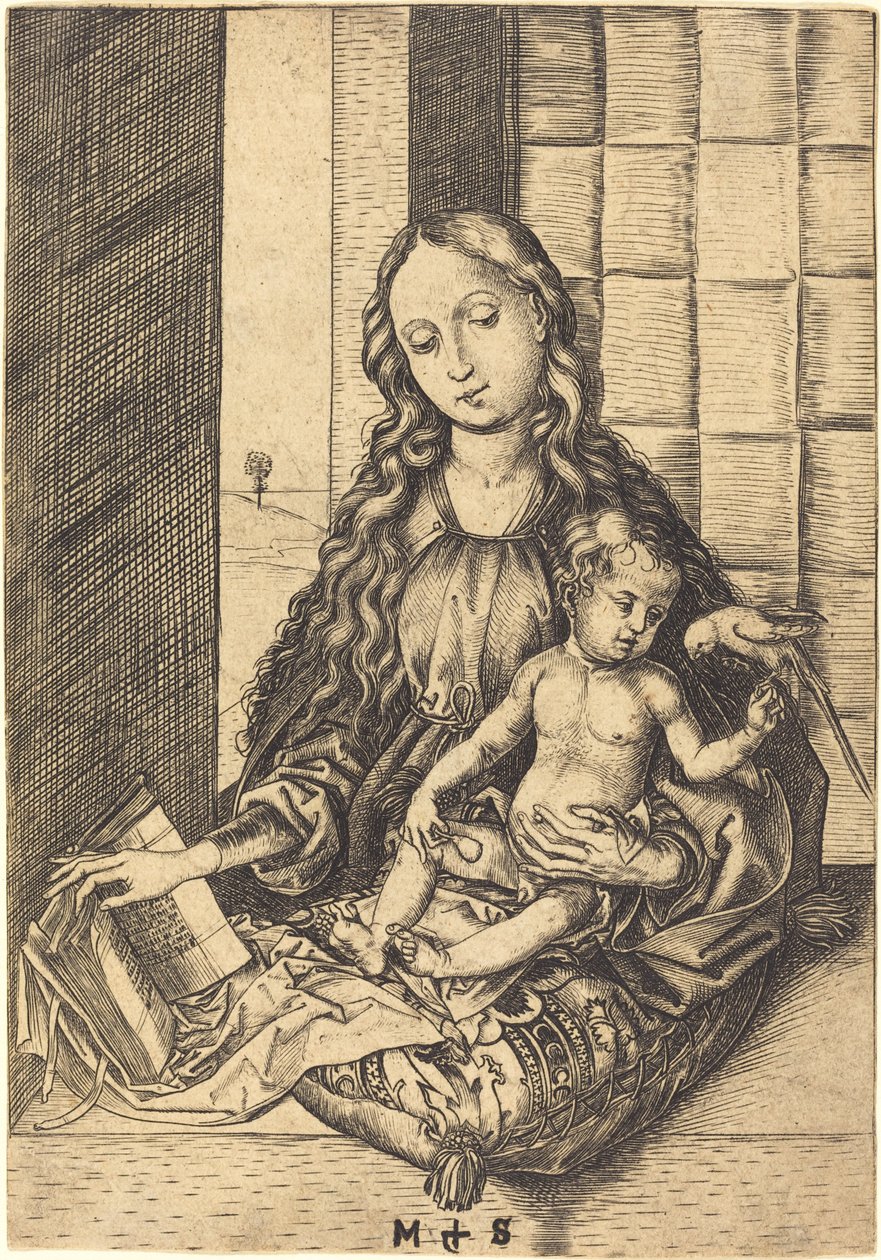 Madonna papagájjal alkotó: Martin Schongauer