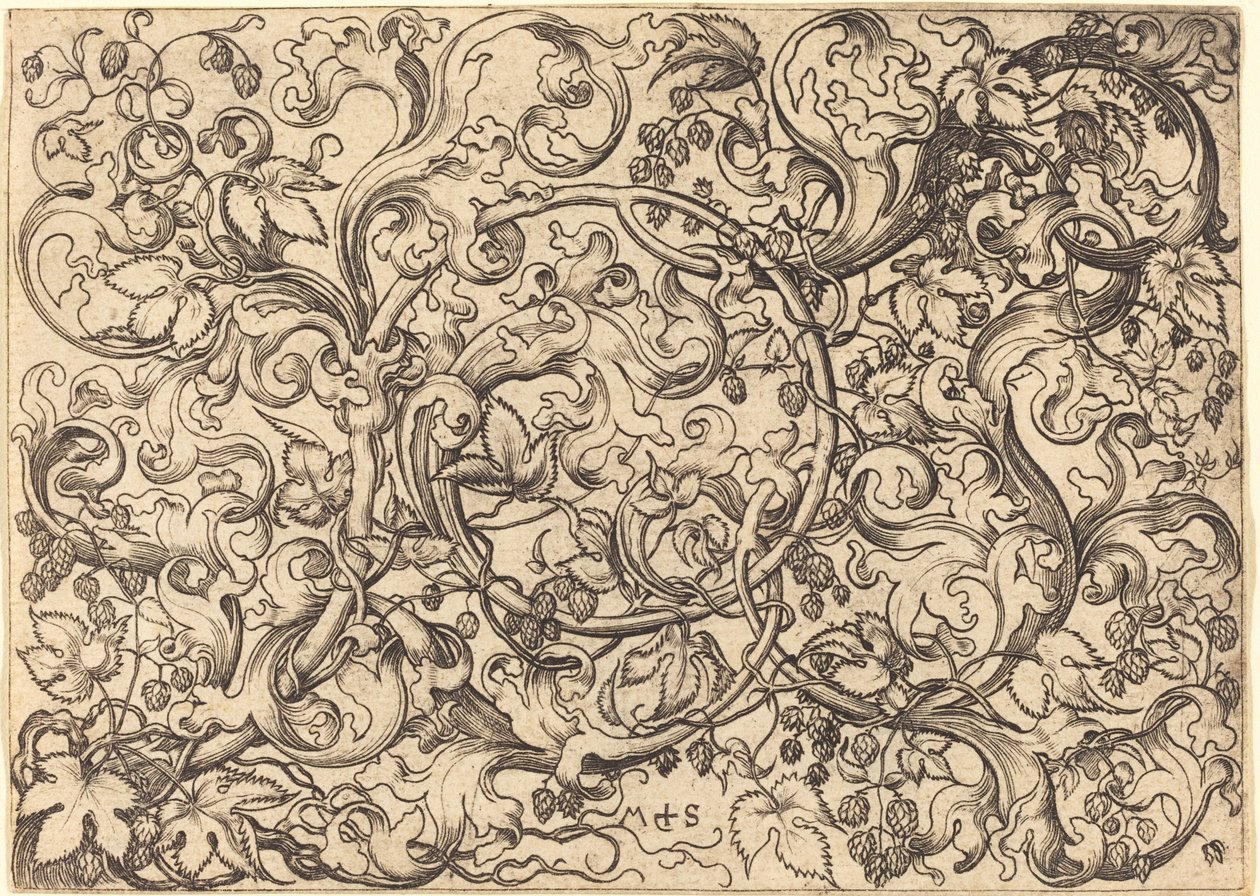 Dísz komló szőlővel alkotó: Martin Schongauer