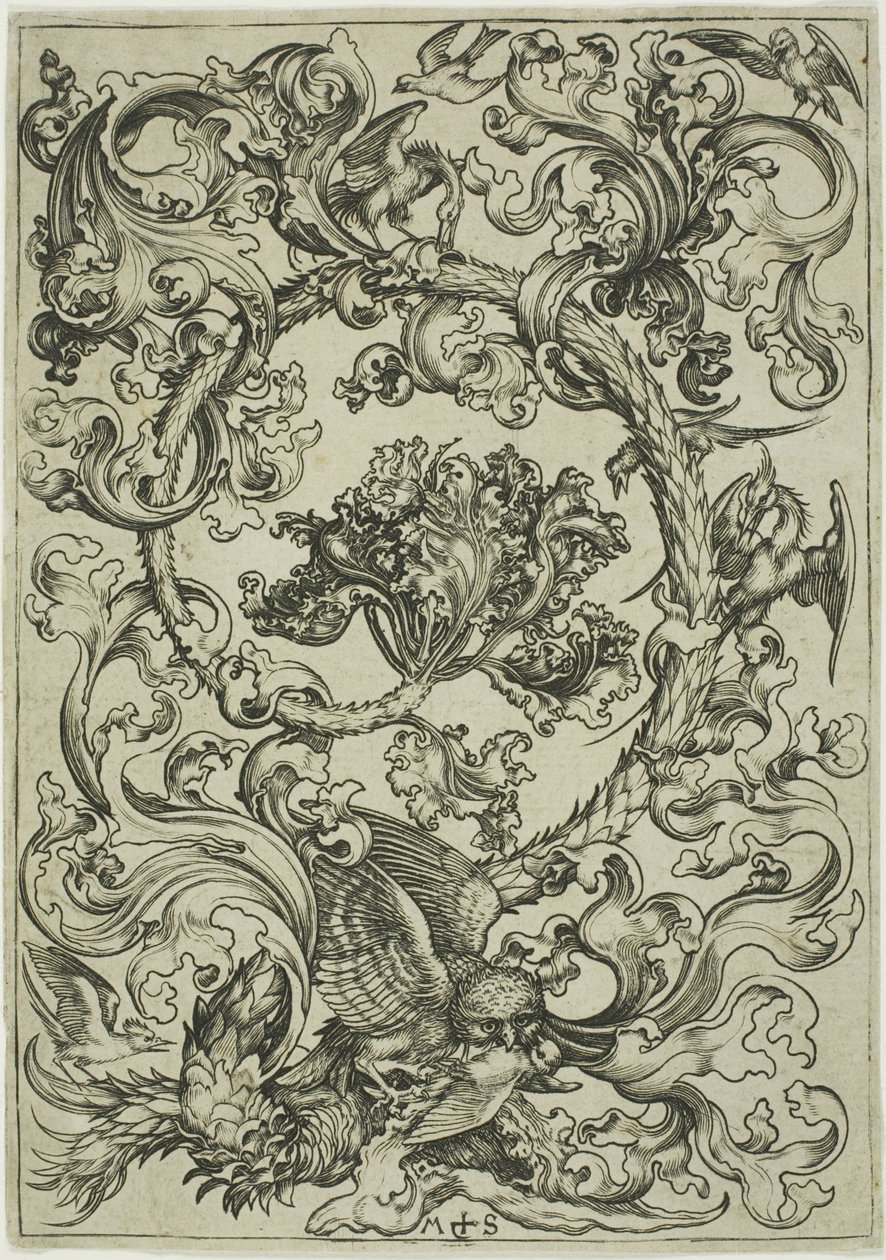 Díszítés Bagoly gúnyolódik a nappali madarakkal alkotó: Martin Schongauer