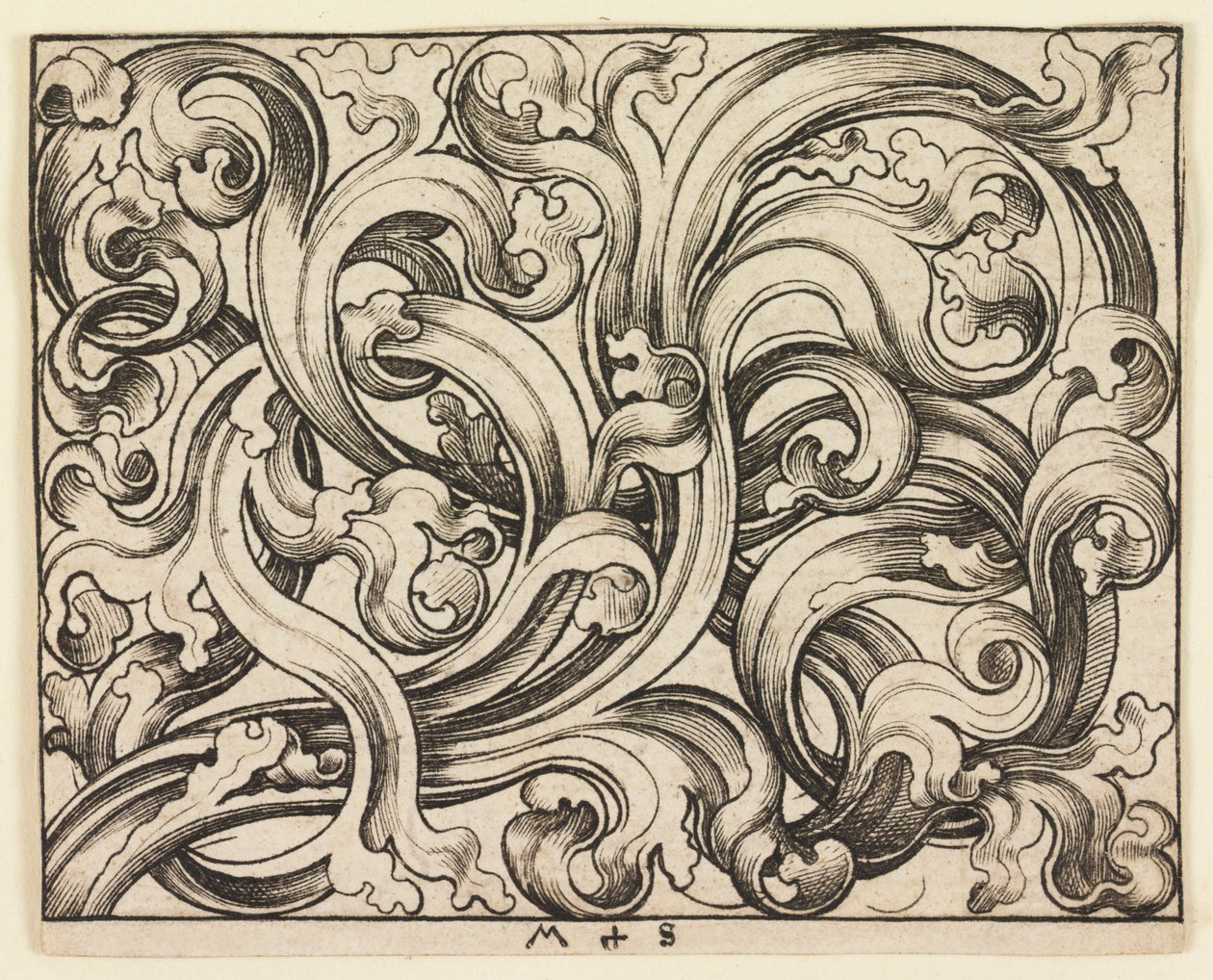 Vízszintes kitöltés világos háttéren (vízszintes dísz) alkotó: Martin Schongauer