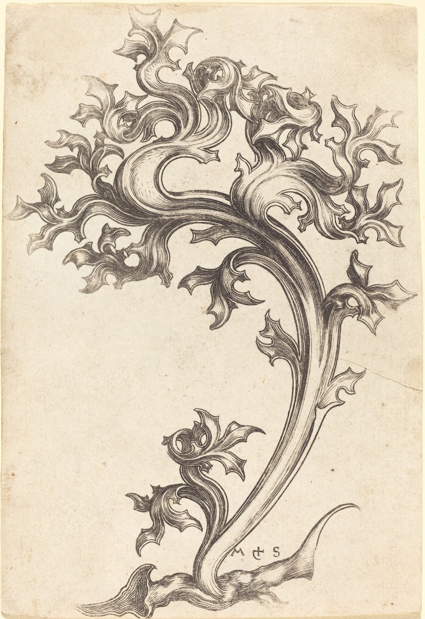 Bogáncs dísz alkotó: Martin Schongauer