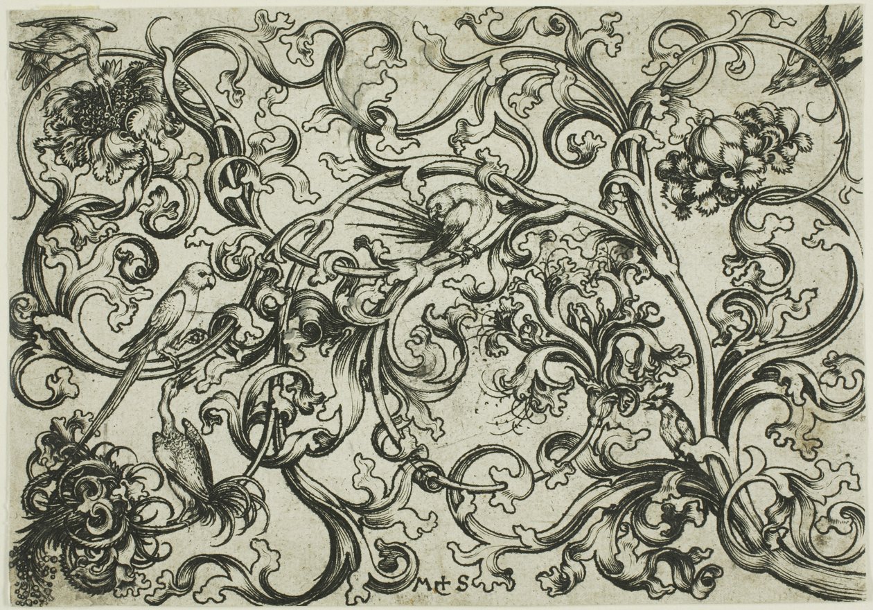 Szőlő dísz papagájokkal és madarakkal alkotó: Martin Schongauer