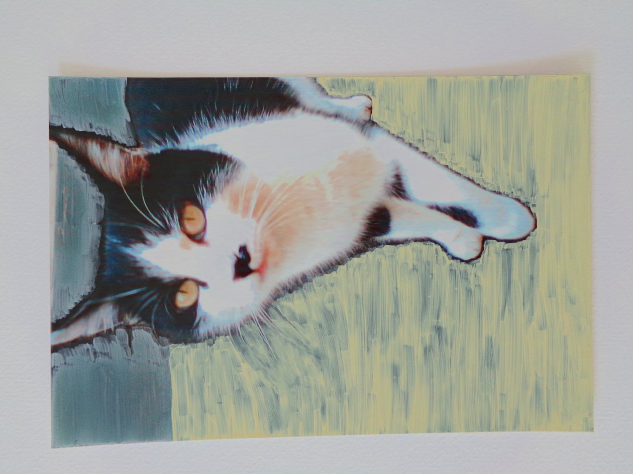 Katze Cat alkotó: Martina Konitzky