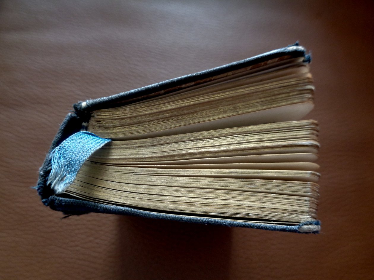 Kinderbibel alkotó: Martina Konitzky