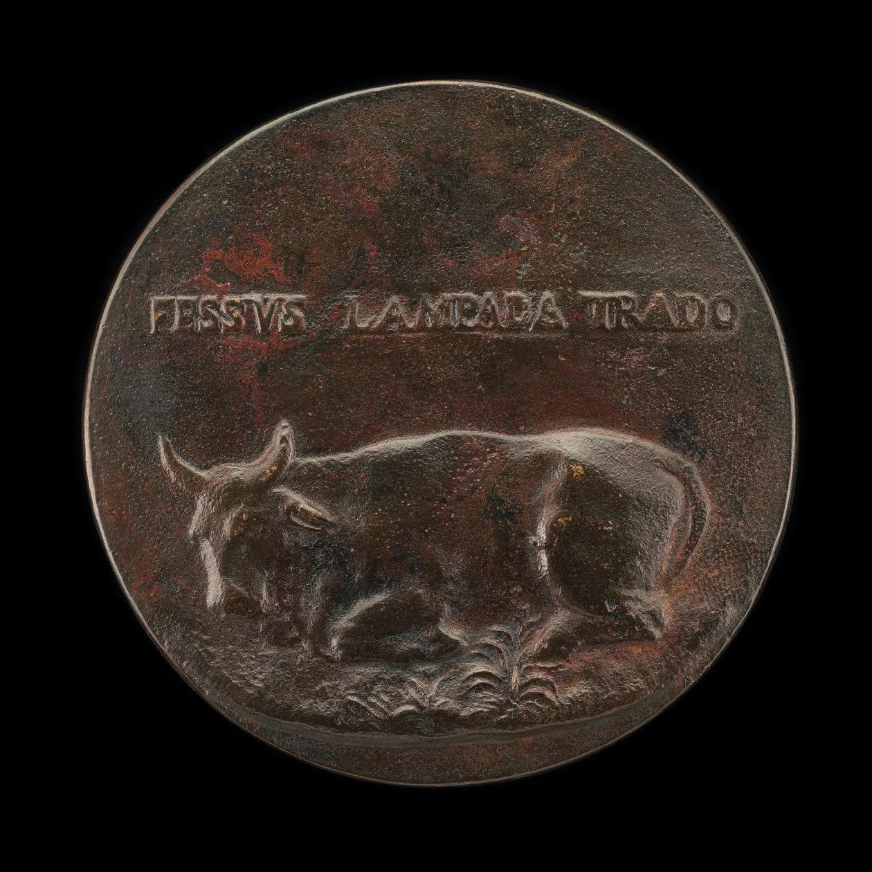 Fekvő szarvasmarha [fordítva]. alkotó: Martino da Bergamo