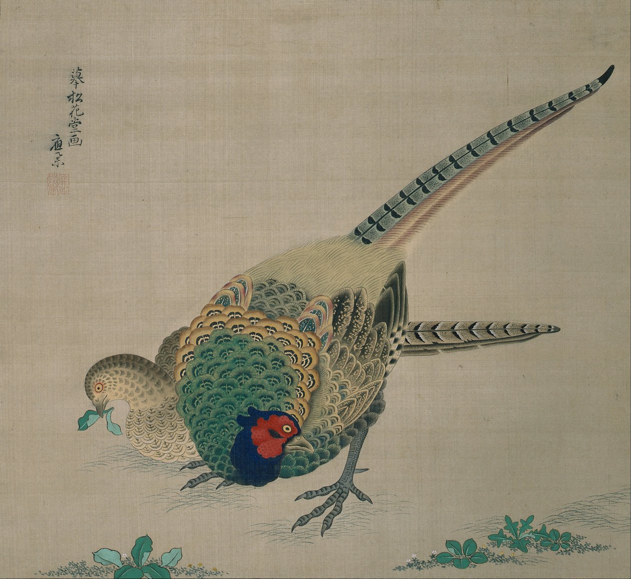 Lógó tekercs (fácánpár) alkotó: Maruyama Okyo