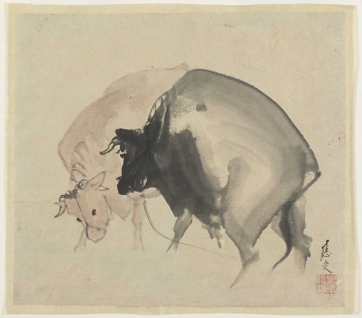 Két bika, 1810 körül (tinta és színek papíron) alkotó: Maruyama Oju