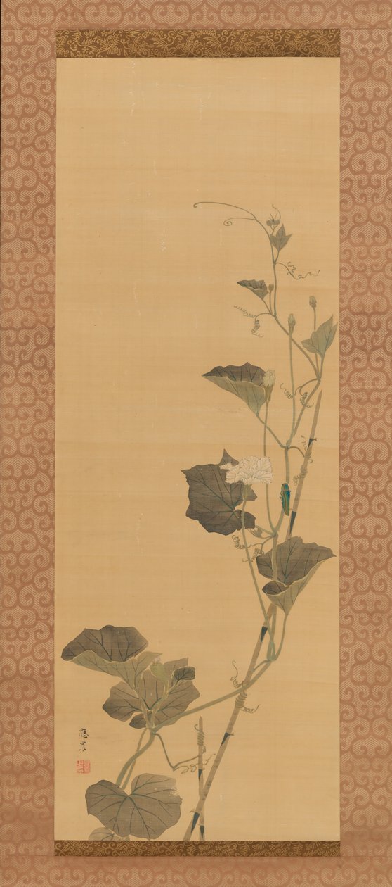 Calabash Flowers and Beetle, 19. század eleje. alkotó: Maruyama Ôshin