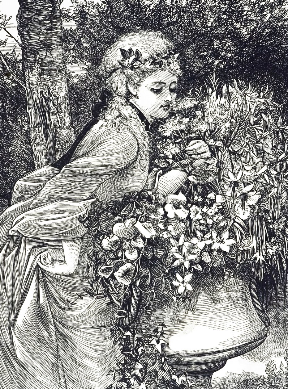 Egy metszet, amely egy fiatal lányt ábrázol, aki virágszagot érez egy kerti urnában. Illusztrálta: Mary Ellen Edwards (1838-1934) angol művész és gyermekkönyv-illusztrátor alkotó: Mary Ellen Edwards
