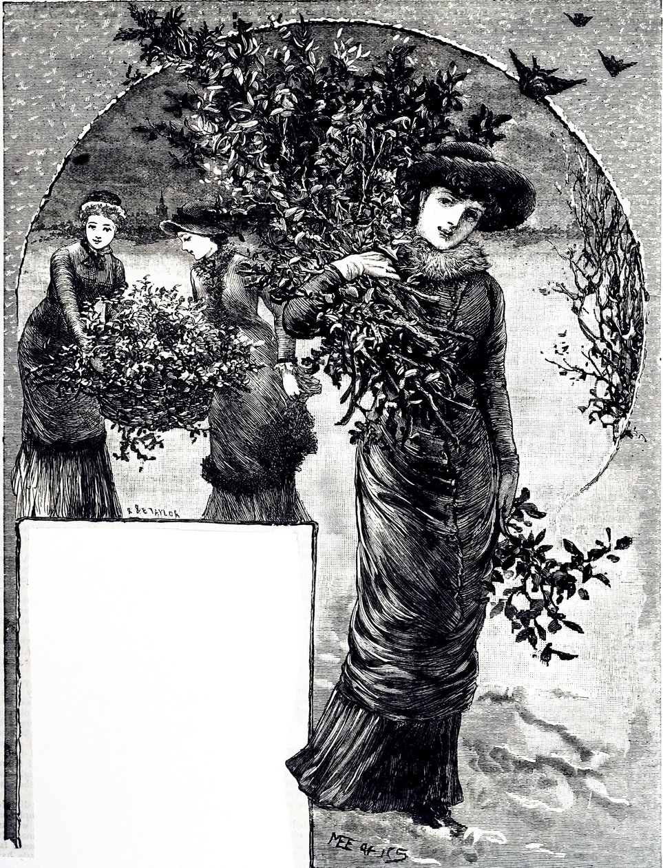 A magyal és az örökzöld gyűjteményét ábrázoló metszet karácsonyi dekorációhoz. Illusztrálta: Mary Ellen Edwards (1838-1934) angol művész és gyermekkönyv-illusztrátor alkotó: Mary Ellen Edwards