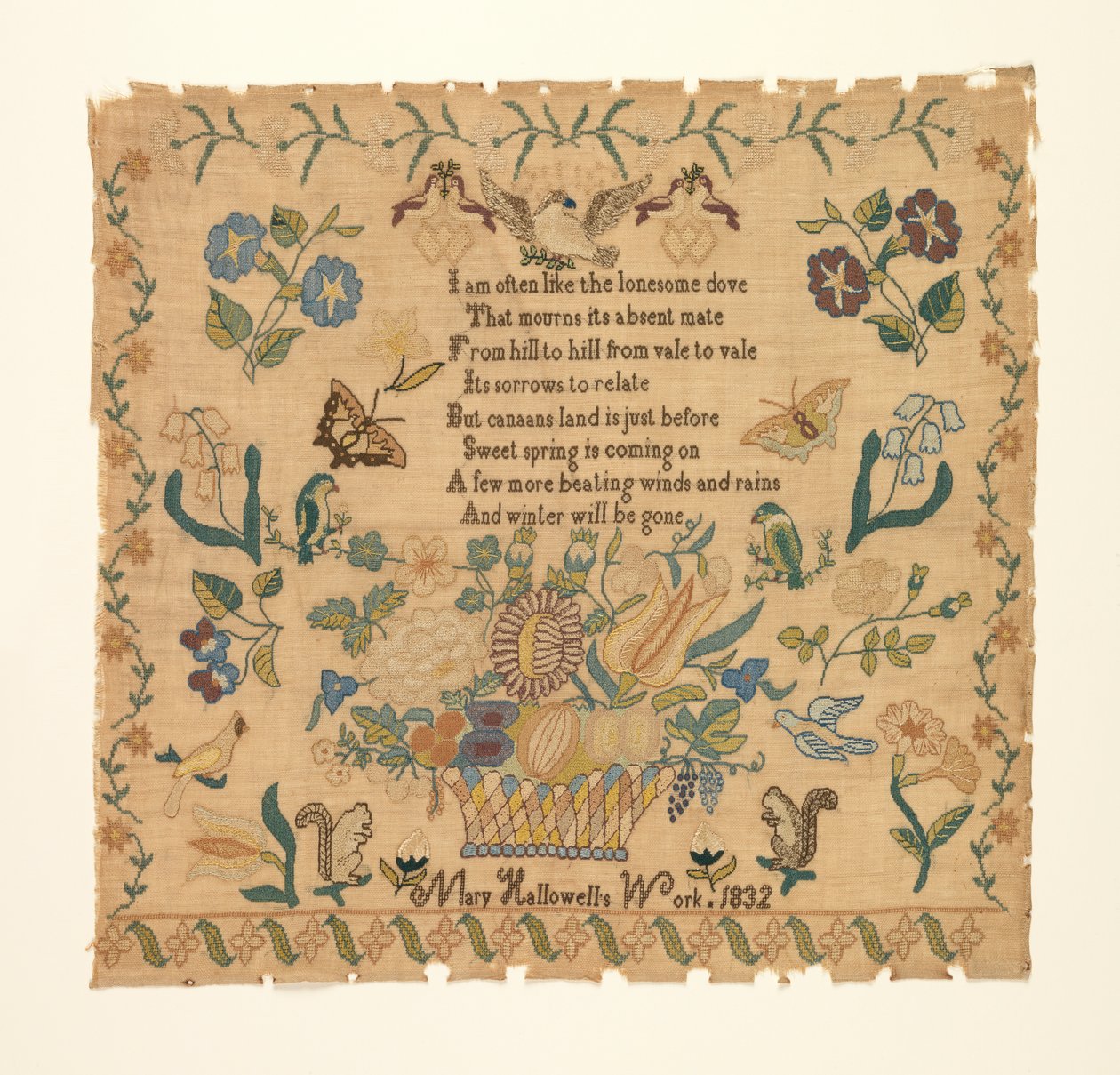 Mintavevő alkotó: Mary Hallowell