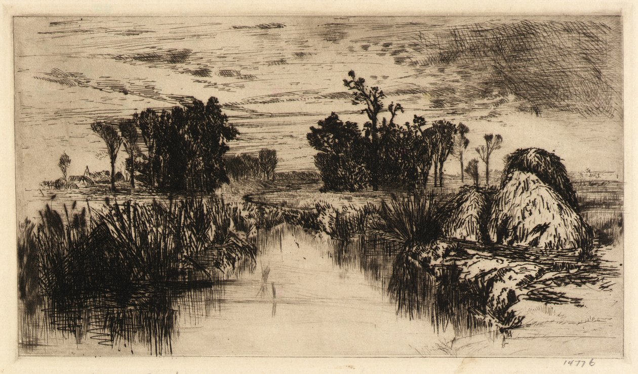 Cattails és fák alkotó: Mary Nimmo Moran