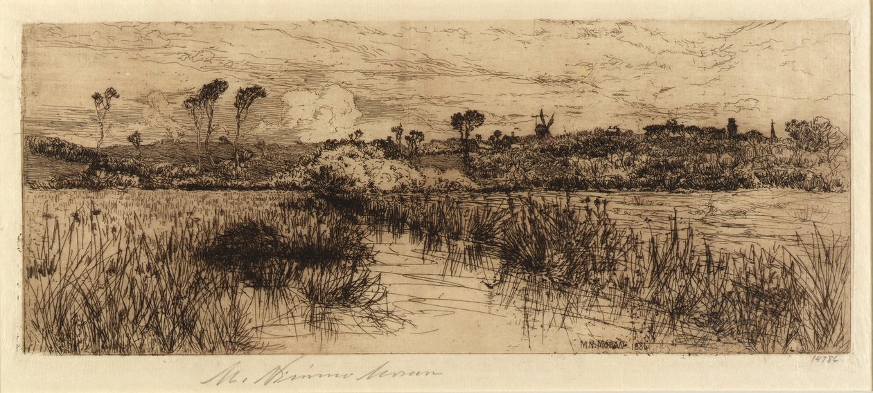 A pézsmapatkányok otthona alkotó: Mary Nimmo Moran