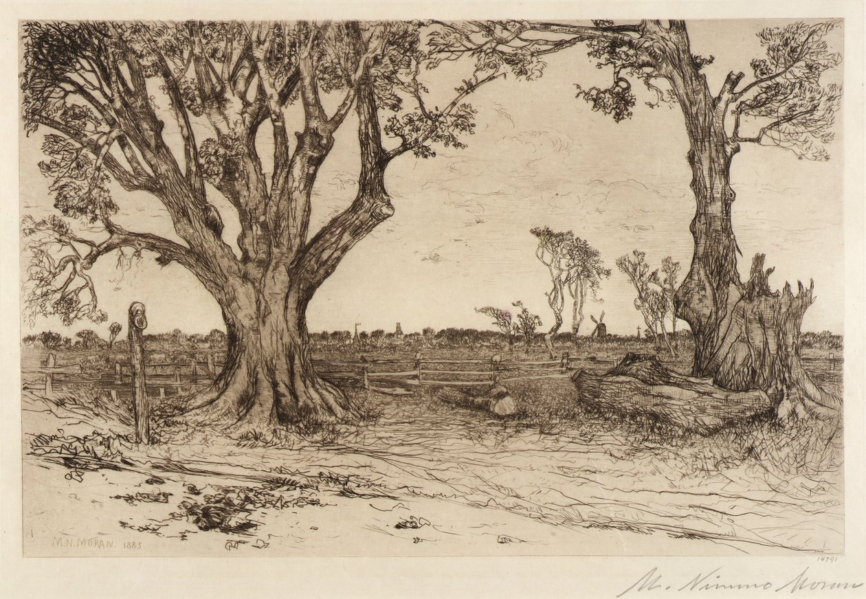 Old Lindens--Near Easthampton alkotó: Mary Nimmo Moran