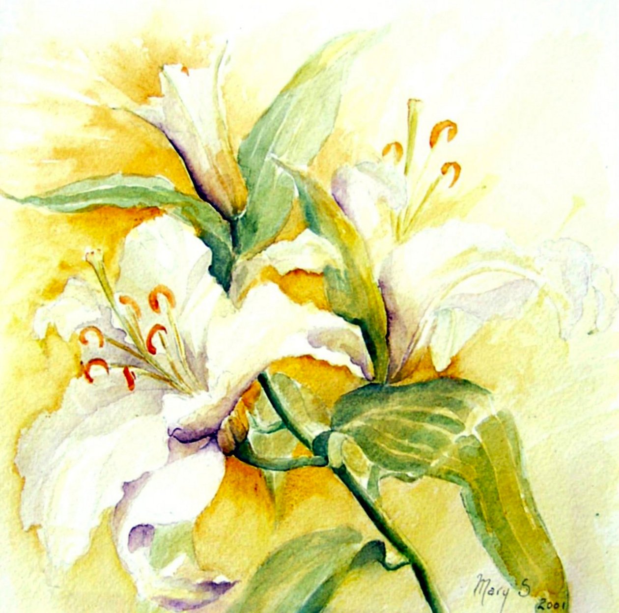 fehér liliomok alkotó: Mary Smith