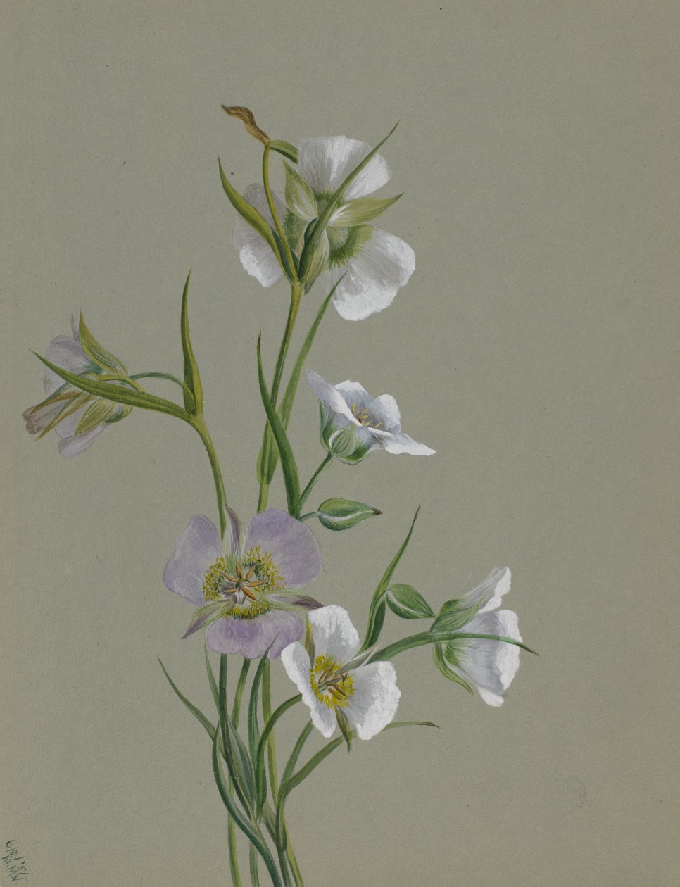 Útban az emlékműhöz, 1881. alkotó: Mary Vaux Walcott
