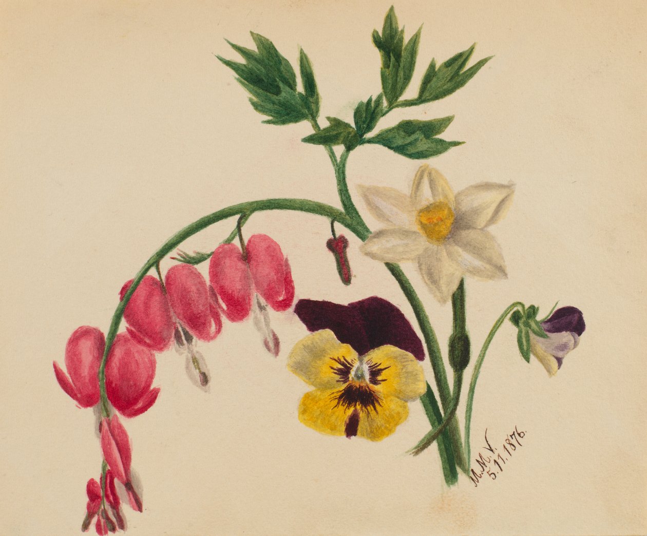 Cím nélkül – Vegyes virágok, 1876. alkotó: Mary Vaux Walcott