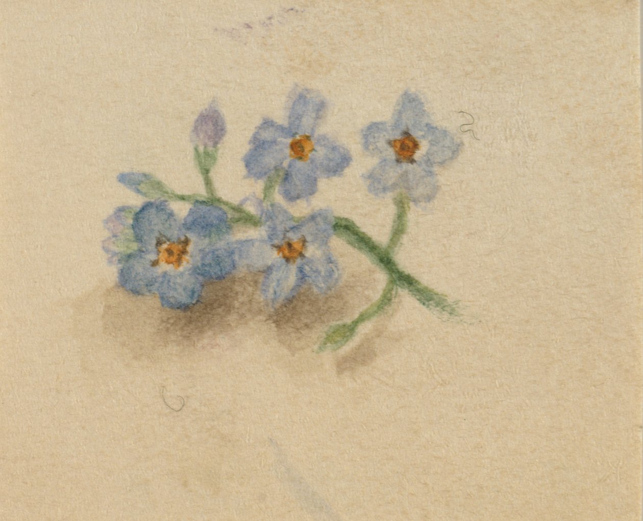 Név nélkül, 1874. alkotó: Mary Vaux Walcott