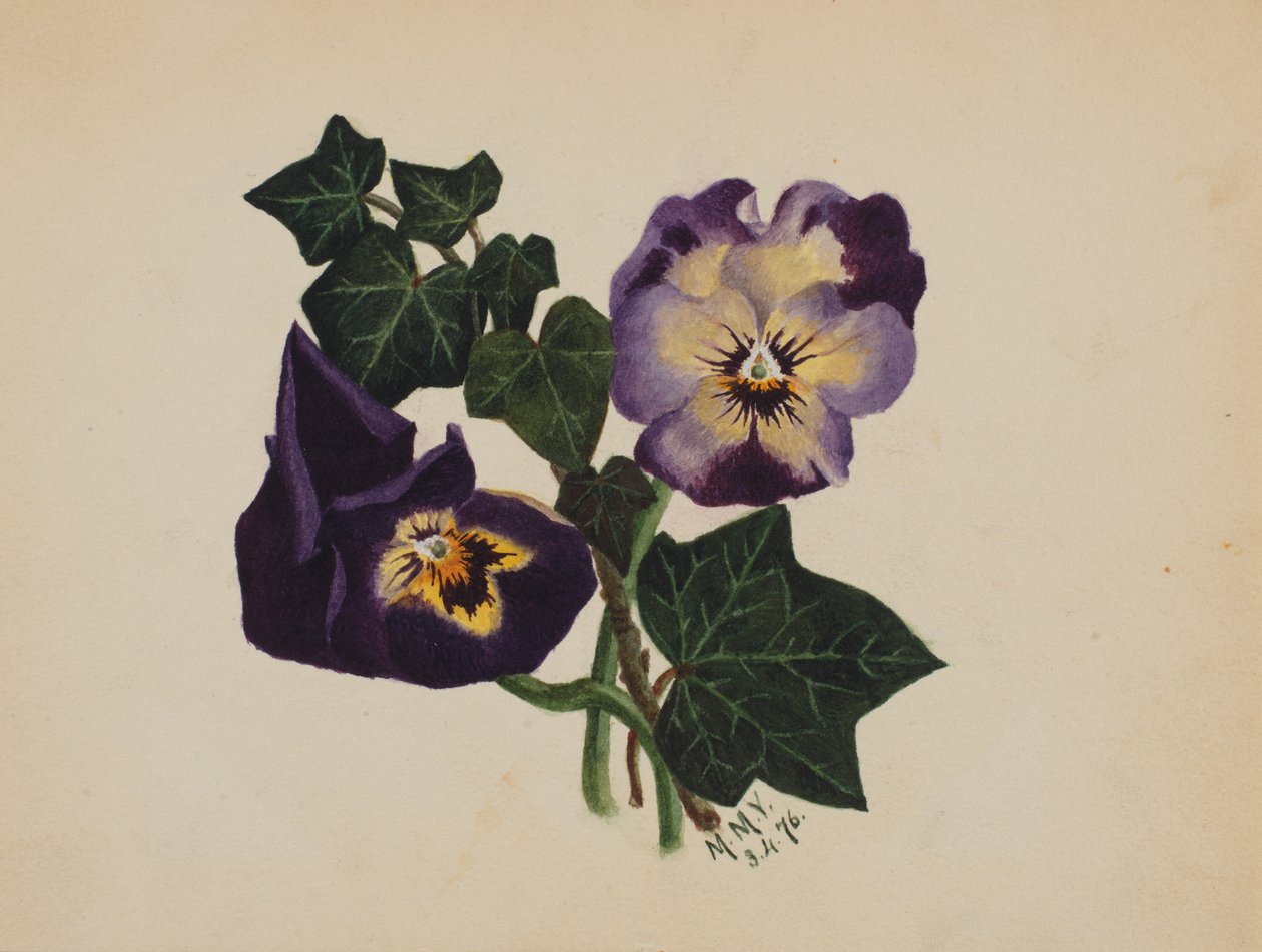 Névtelen árvácskák és borostyán, 1876. alkotó: Mary Vaux Walcott