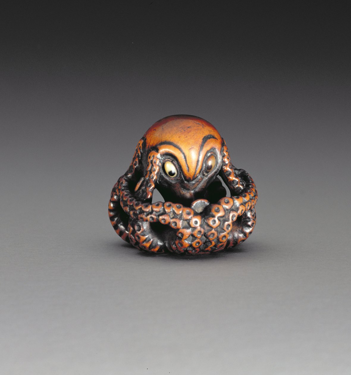 Netsuke polipot ábrázol, 1760-70 körül (fa és berakásos szarv) (a hátoldalt lásd: 193822) alkotó: Masanao