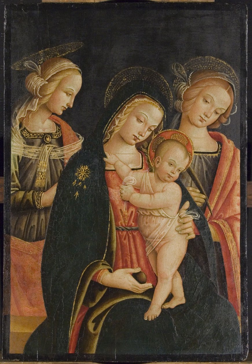 A Madonna és a gyermek két női szenttel, 1500 körül alkotó: Master of the Cortona Tondo