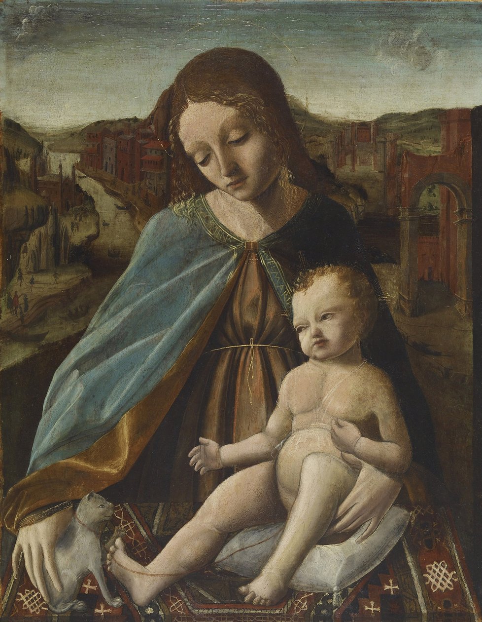 Madonna és gyermek macskával, 1485-95 alkotó: Master of the Pala Sforzesca