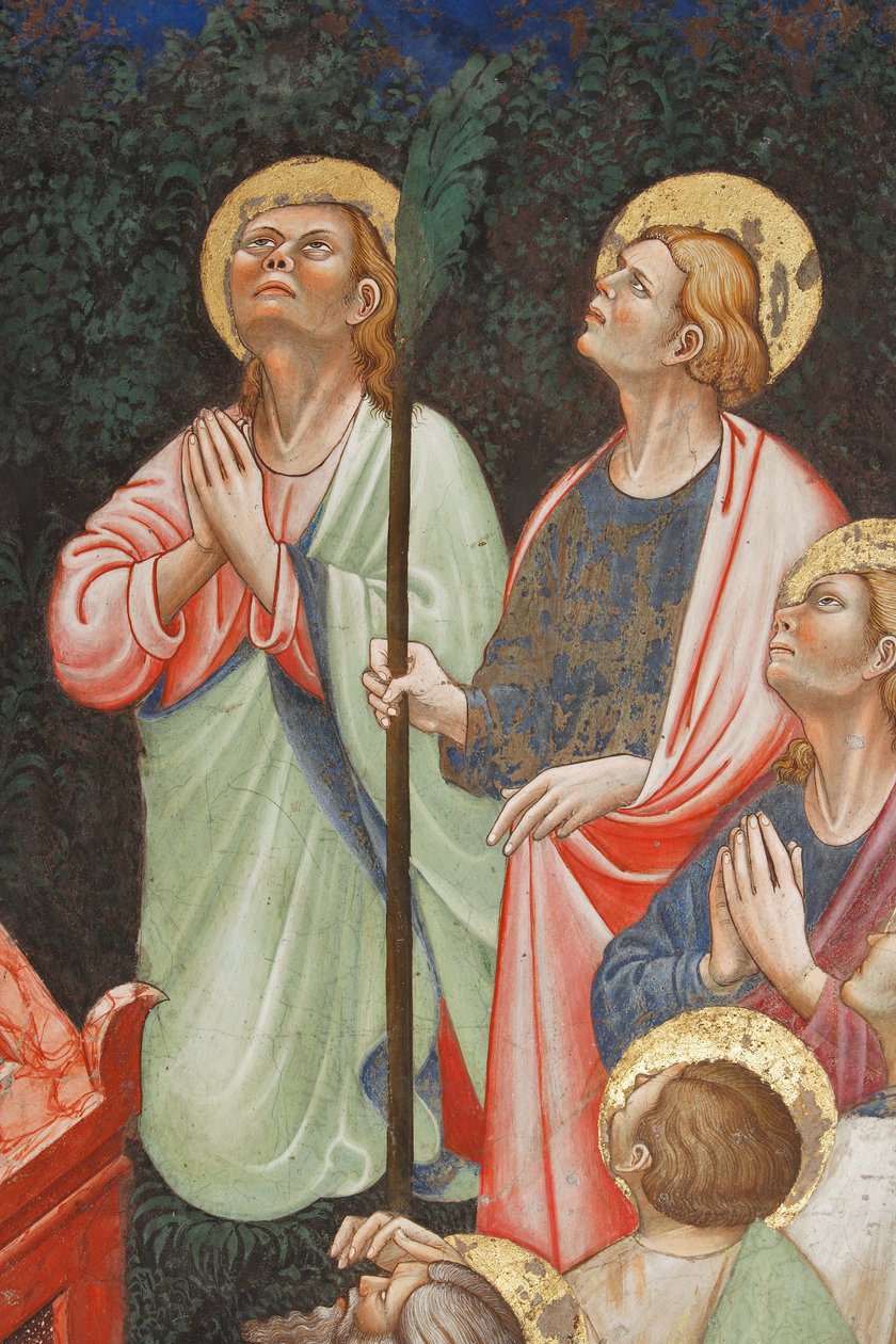 hungarian alkotó: Master of Vignola