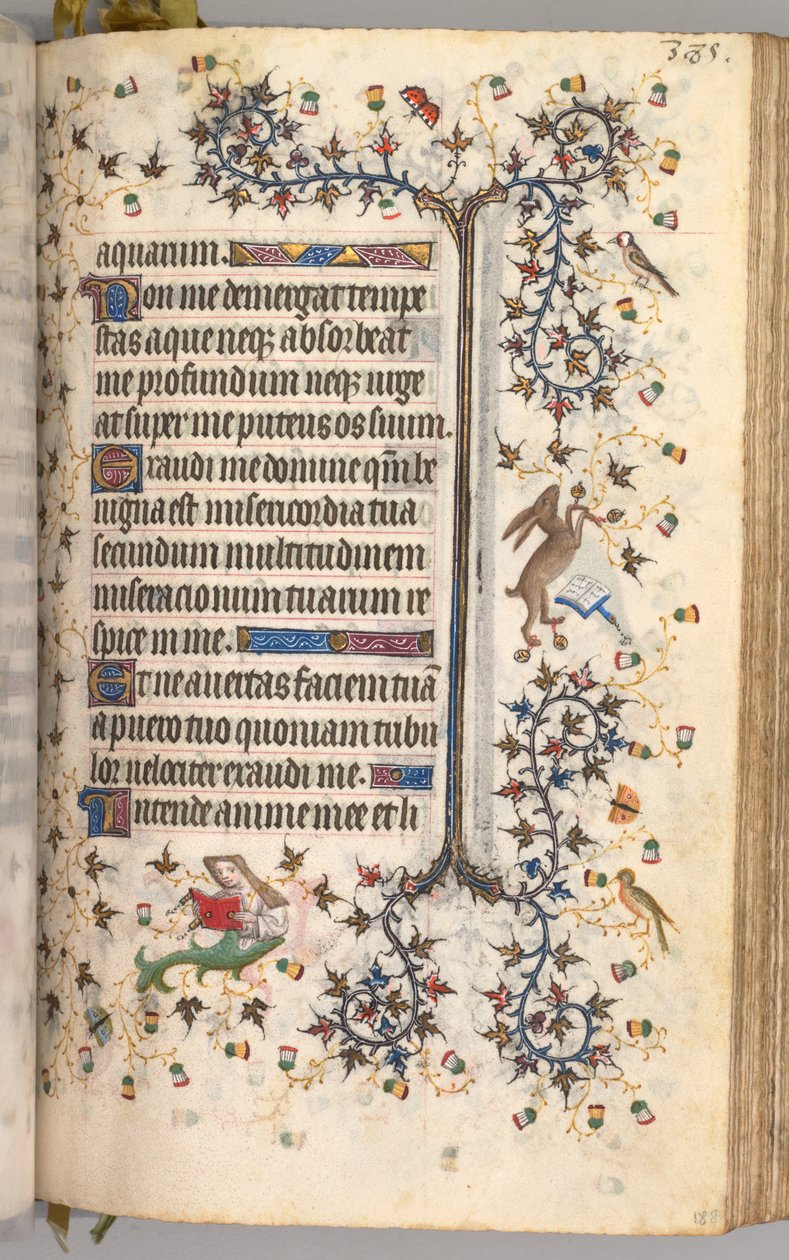 Nemes Károly navarrai király órái 1361-1425: fol. 188r, Szöveg, c. 1405. alkotó: Master of the Brussels Initials and Associates