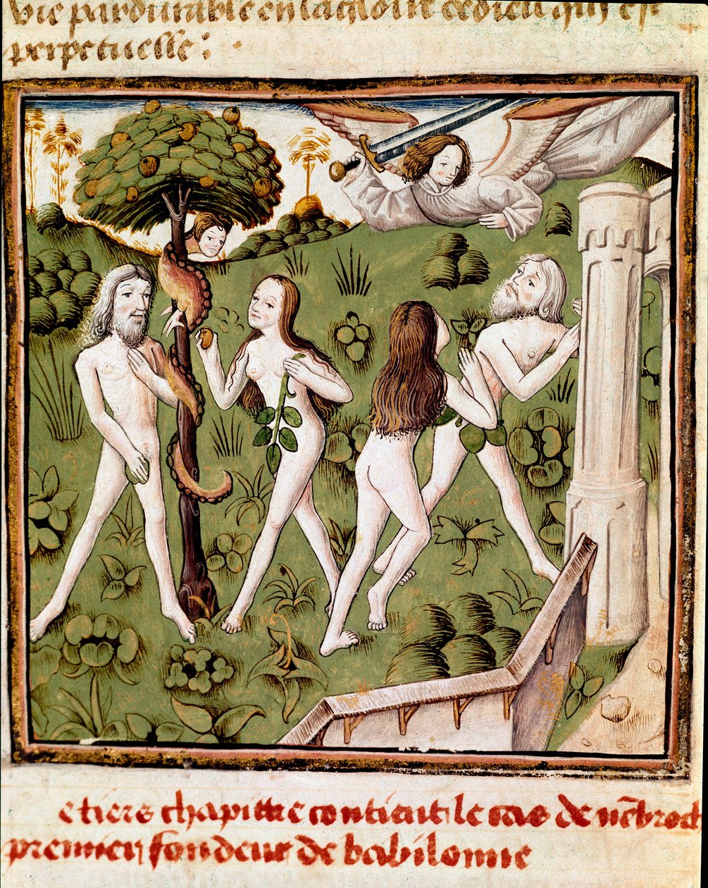 Ádám és Éva a Hölgyek Bajnokának Mesterének (15. század) megvédett gyümölcsét szedik Giovanni Boccaccio (Jean Boccaccio) (1313-1375) „” Des hommes illustres”” kéziratából. 15. század. Carpentras. Inguimbertine Könyvtár alkotó: Master of the Champion des Dames