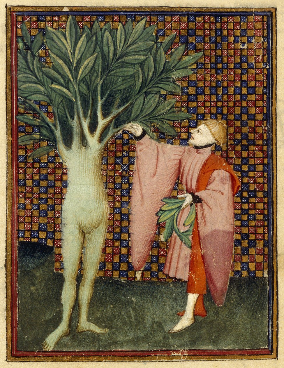Apollo és Daphne alkotó: Master of the Cité des Dames