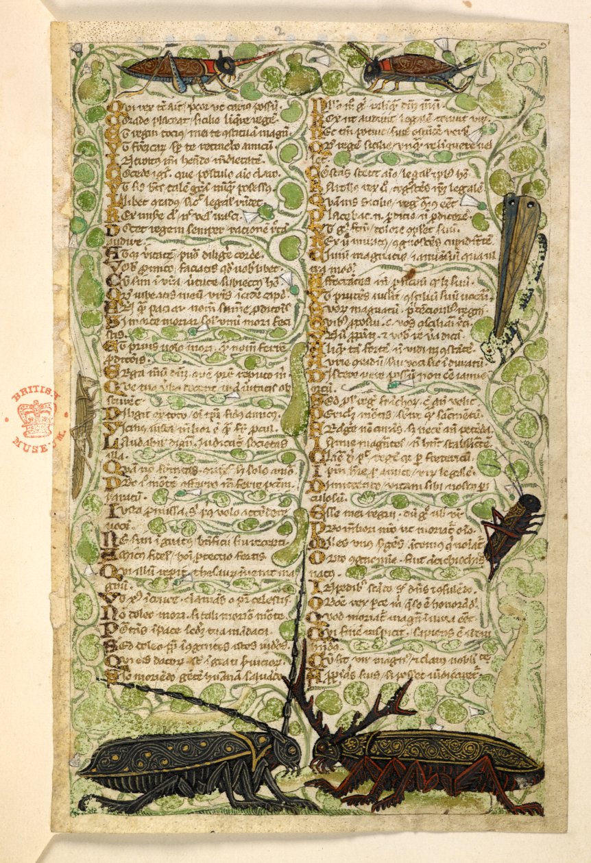 Hozzáadás. 28841, f.2: Szarvas bogarak, tücskök és egy lokusz.  Értekezés az erényekről és gonoszságokról, valamint Szicília névtelen prózatörténete (töredék)  Cocharelli alkotó: Master of the Cocharelli Codex