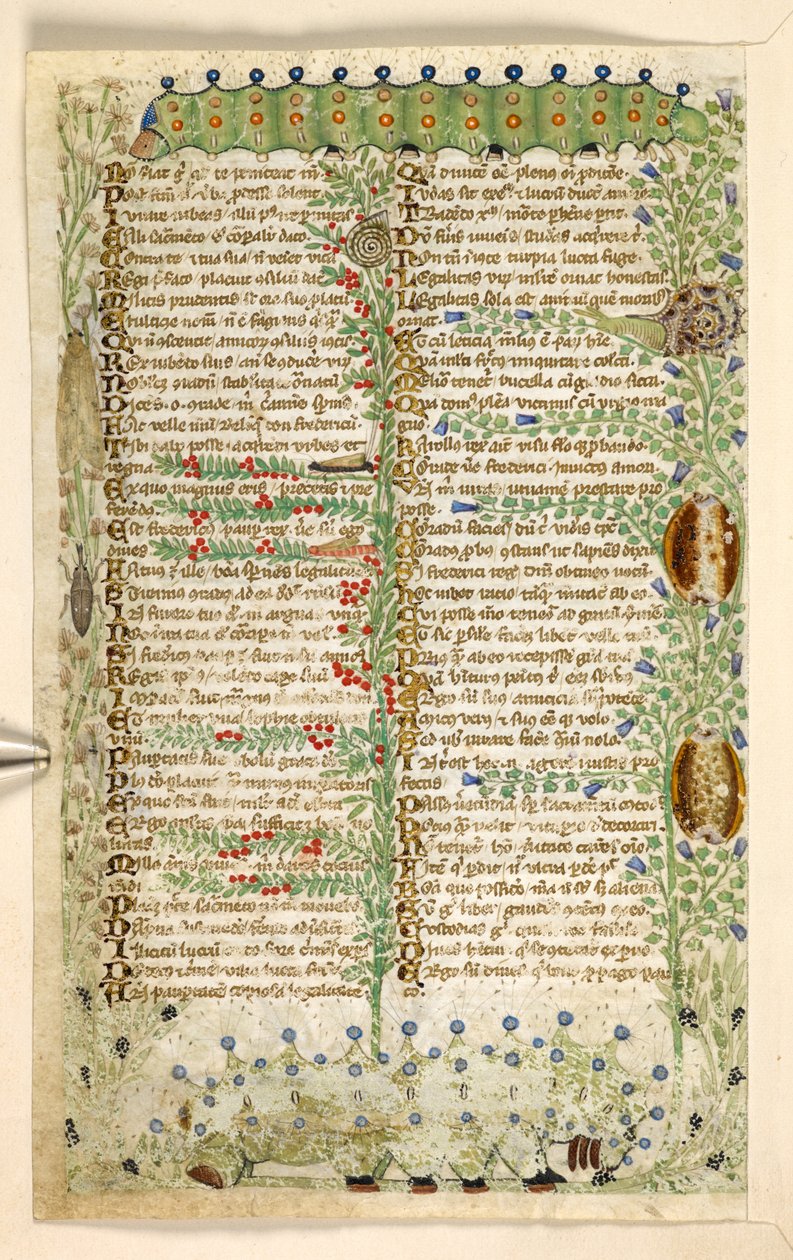 Hozzáadás. 28841, f.2v: Hernyók, csigák és más rovarok az erényekről és bűnökről szóló traktátusból, valamint Szicília névtelen prózatörténetéből (töredék), 1330-40 körül (vellum) alkotó: Master of the Cocharelli Codex