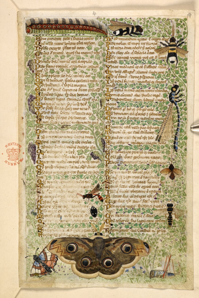 Hozzáadás. 28841, f.4: Darazsak, lepkék, szitakötők és egy hernyó, az erényekről és gonoszságokról szóló traktátusból, valamint Szicília névtelen prózatörténetéből (töredék), 1330-40 körül (vellum) alkotó: Master of the Cocharelli Codex