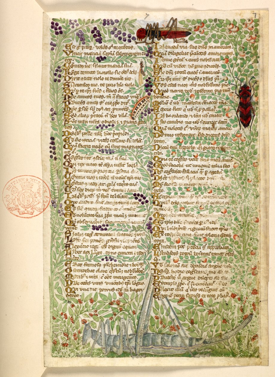 Hozzáadás. 28841, f.7, Virágok, gyümölcsök és rovarok, köztük egy szöcske és egy sáska, az erényekről és gonoszságokról szóló traktátusból és Szicília névtelen prózatörténetéből (töredék) alkotó: Master of the Cocharelli Codex