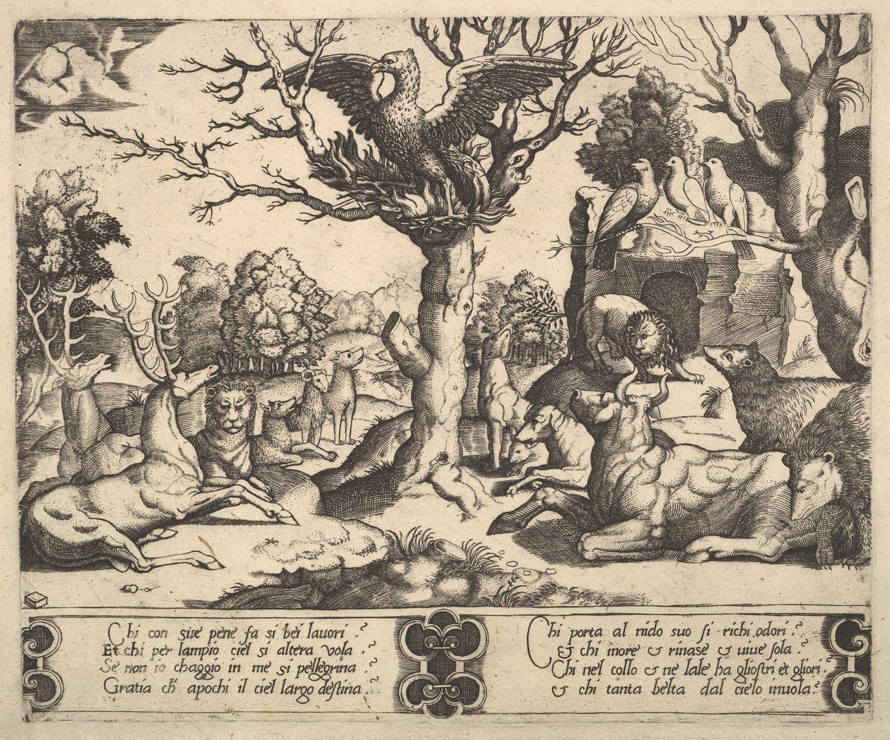 Egy főnix ült egy fa tetején, szárnyai nyitva, alul egy sor állat, 1530-60. alkotó: Master of the Die