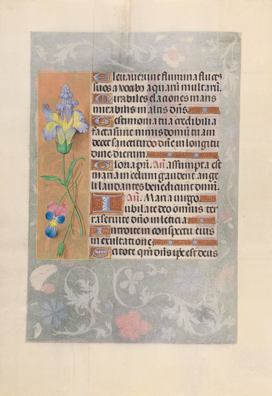 Izabella katolikus királyné, spanyol királynő órái: Fol. 116v, c. 1500. alkotó: Master of the First Prayerbook of Maximillian