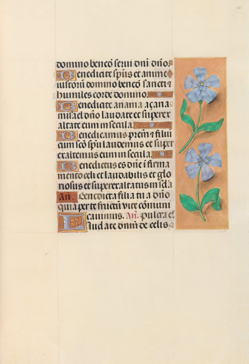 Izabella katolikus királyné, spanyol királynő órái: Fol. 120r, c. 1500. alkotó: Master of the First Prayerbook of Maximillian