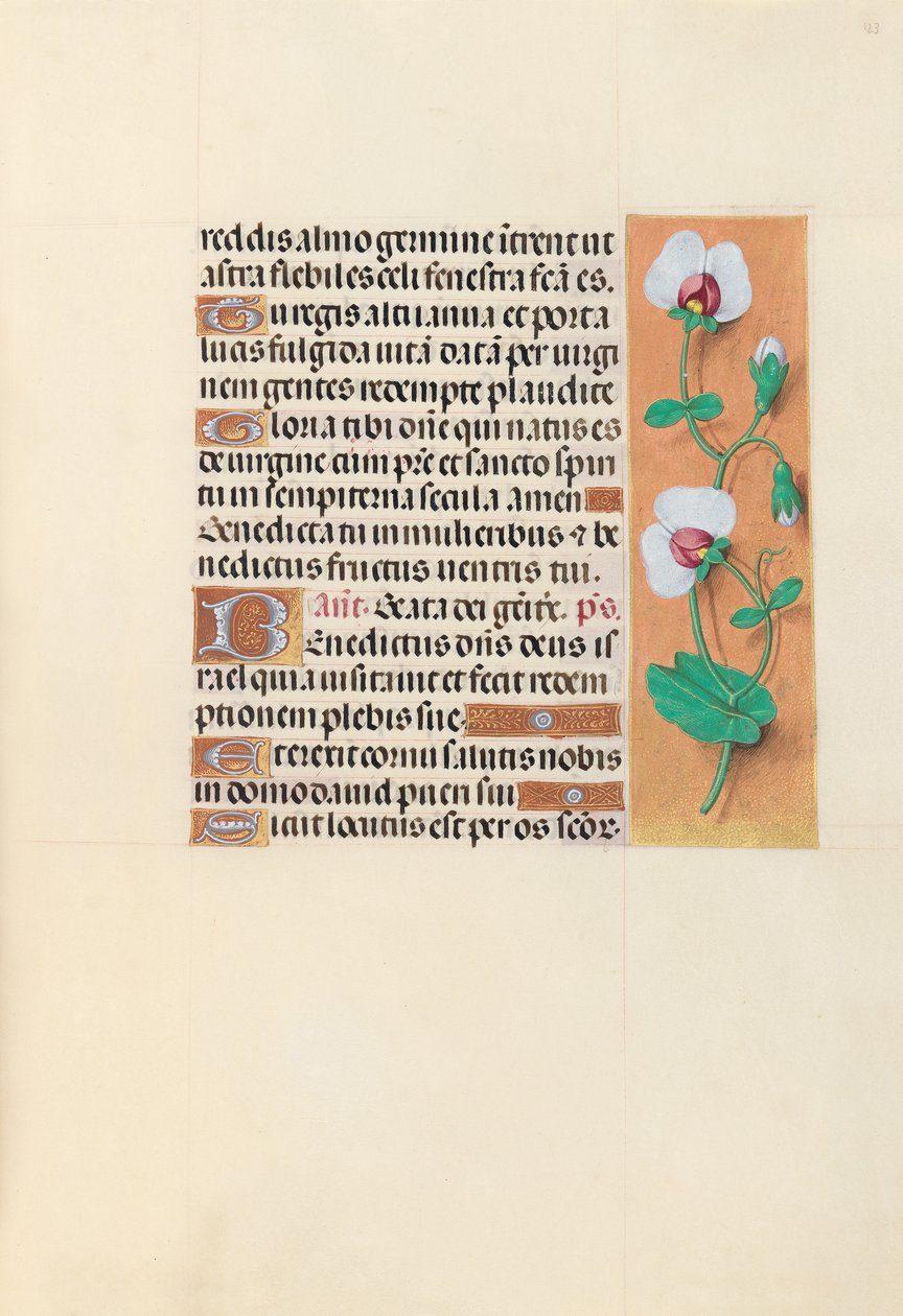 Izabella katolikus királyné, spanyol királynő órái: Fol. 123r, c. 1500. alkotó: Master of the First Prayerbook of Maximillian