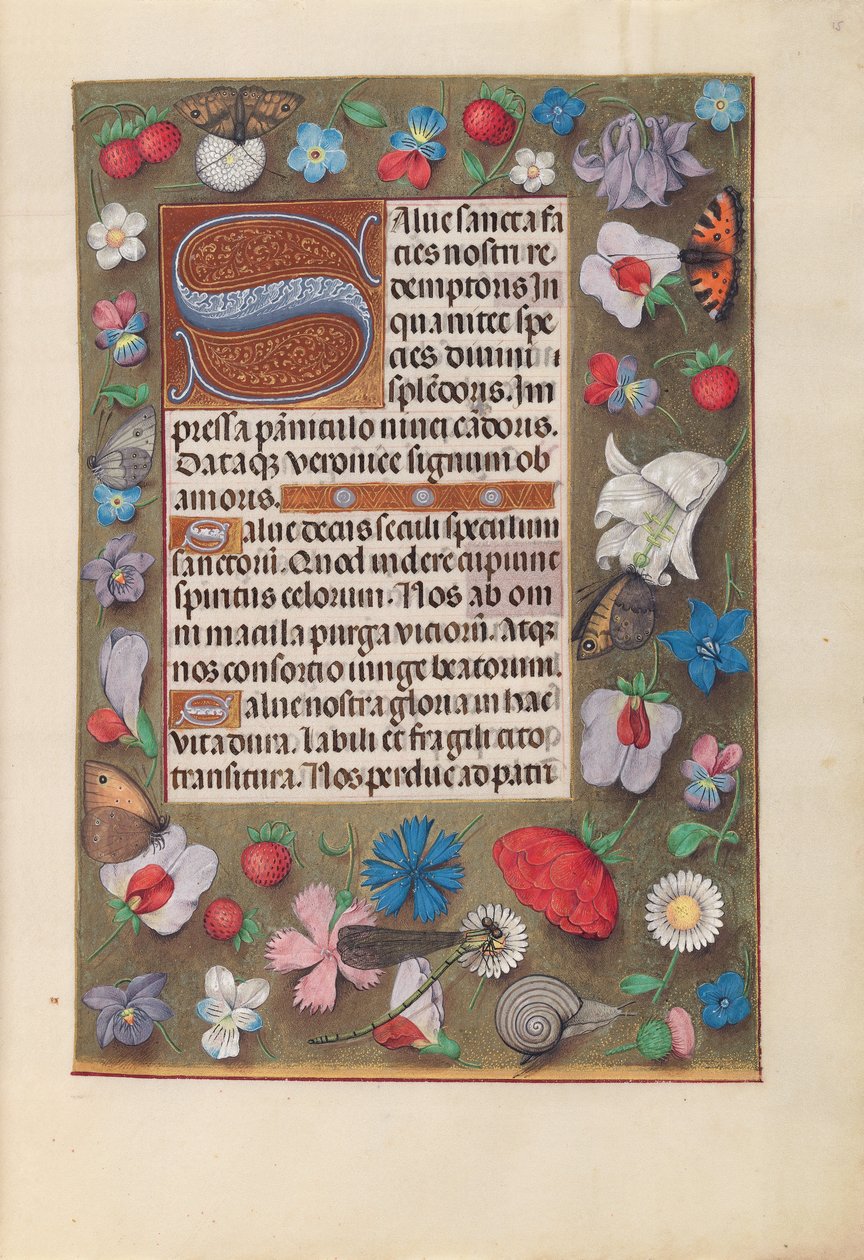 Izabella katolikus királyné, spanyol királynő órái: Fol. 15r, c. 1500. alkotó: Master of the First Prayerbook of Maximillian