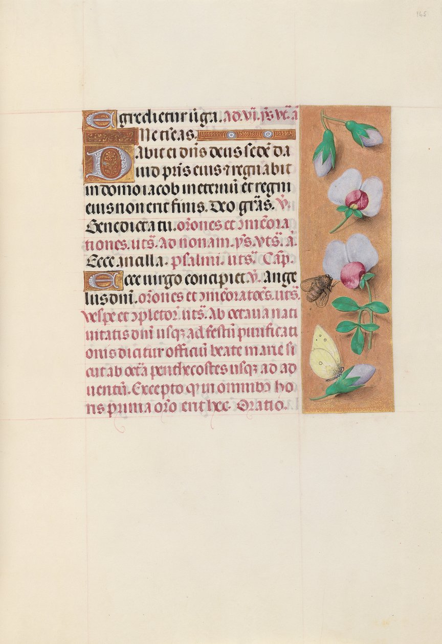 Izabella katolikus királyné, spanyol királynő órái: Fol. 165r, c. 1500. alkotó: Master of the First Prayerbook of Maximillian
