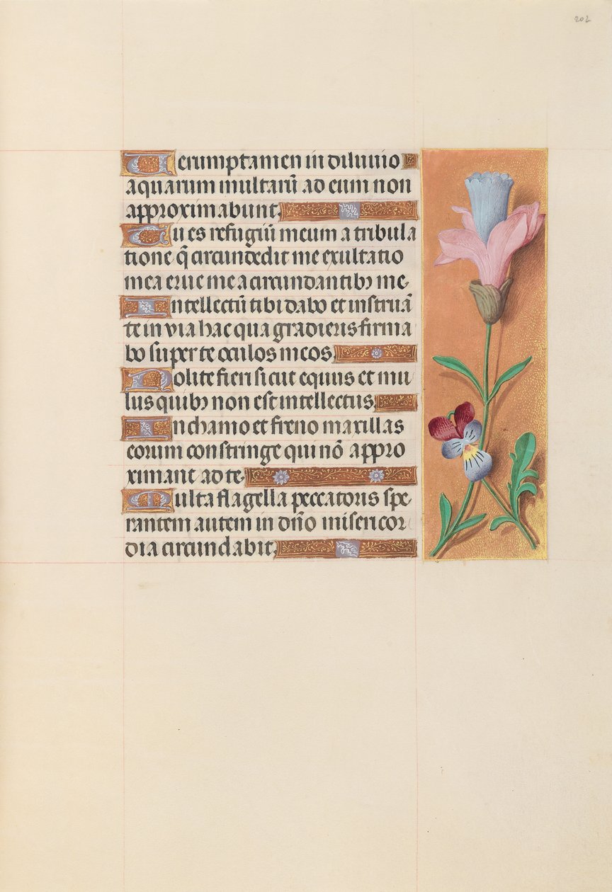 Izabella katolikus királyné, spanyol királynő órái: Fol. 202r, c. 1500. alkotó: Master of the First Prayerbook of Maximillian
