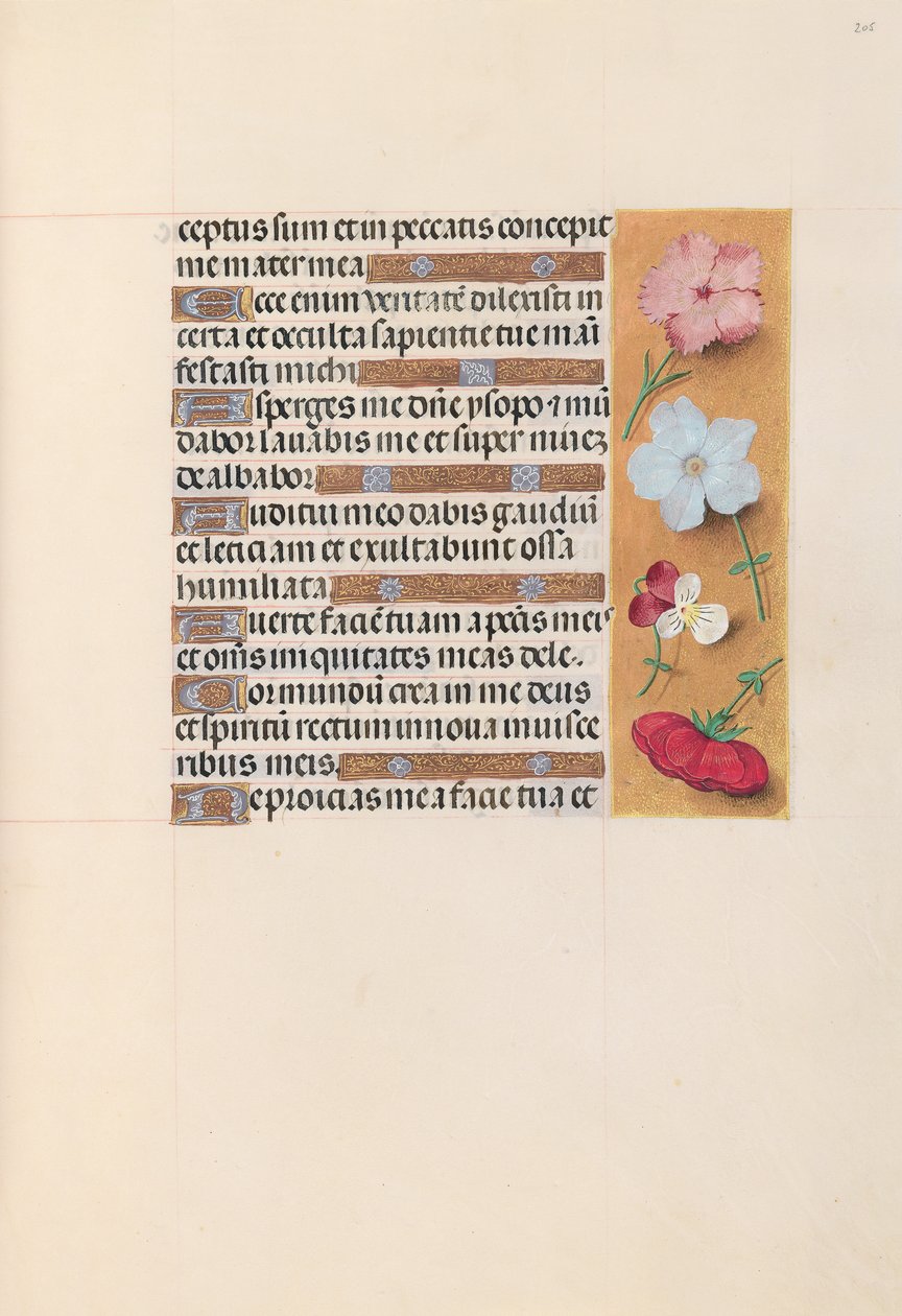 Izabella katolikus királyné, spanyol királynő órái: Fol. 205r, c. 1500. alkotó: Master of the First Prayerbook of Maximillian